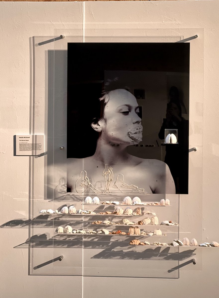 Glenaeon Rudolf Steiner School tweet media