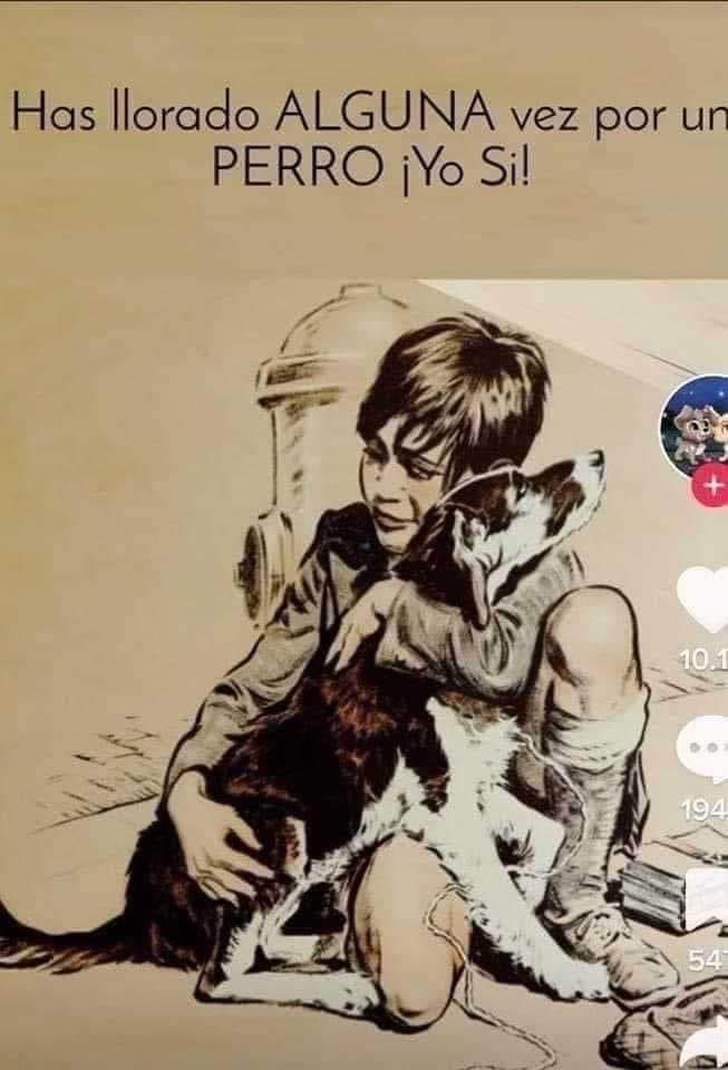 Blancaa77621693's tweet image. have u cry 😢 for a dog 🐶 im