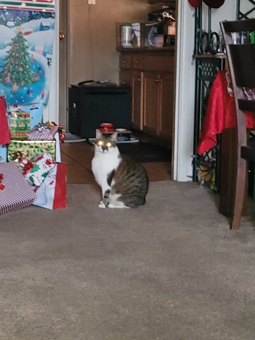 @thespybrief  Madison  puts laser focus on the whole TSB family and sends his blessings https://t.co<a class="tags" target="_blank" title="On Twitter" href="/?out=eyJ0eXAiOiJKV1QiLCJhbGciOiJIUzUxMiJ9.eyJpYXQiOjE3MjY0ODExNzMsImlzcyI6InR3cG9ybnN0YXJzLmNvbSIsIm5iZiI6MTcyNjQ4MTE3MywiZXhwIjoxNzU4MDE3MTczLCJyZWRpcmVjdF91cmwiOiJodHRwczovL3R3aXR0ZXIuY29tL3RoZXNweWJyaWVmIn0.T-89gJrOcw5sW3Bo_bqaKwOFETXc4oNEZfTpZ7NJ7Z-0FvYSDMzlhwEgUNi9CNXXGxd23UA7Fg149iOFPbr7Kw">@thespybrief</a><a href="/tag/gagcityreloaded"class="tags"><span>#gagcityreloaded</span></a>