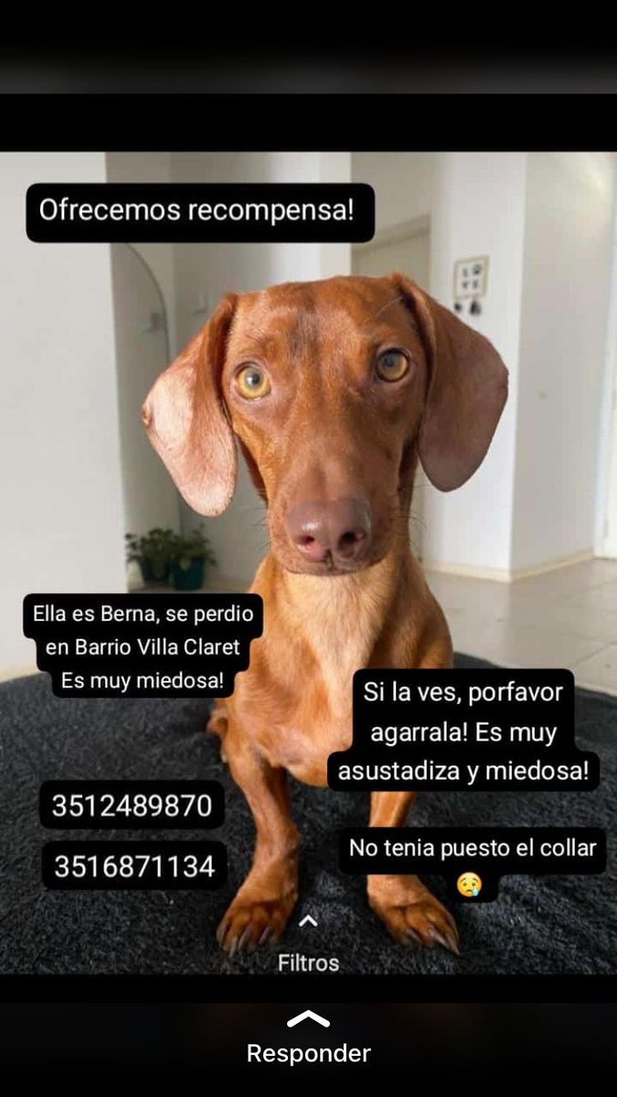 Luisina (@lubottino) on Twitter photo 