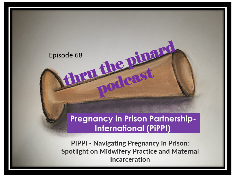 Ep 68 ibit.ly/Re5V @P1PP12345 - Navigating Pregnancy in Prison: Spotlight on Midwifery Practice and Maternal Incarceration with @midwifeteacher @tanya_capper @RebeccaShlafer @PhDMidwives #MidTwitter @Brthcompanions new related book- t.ly/t1RC0