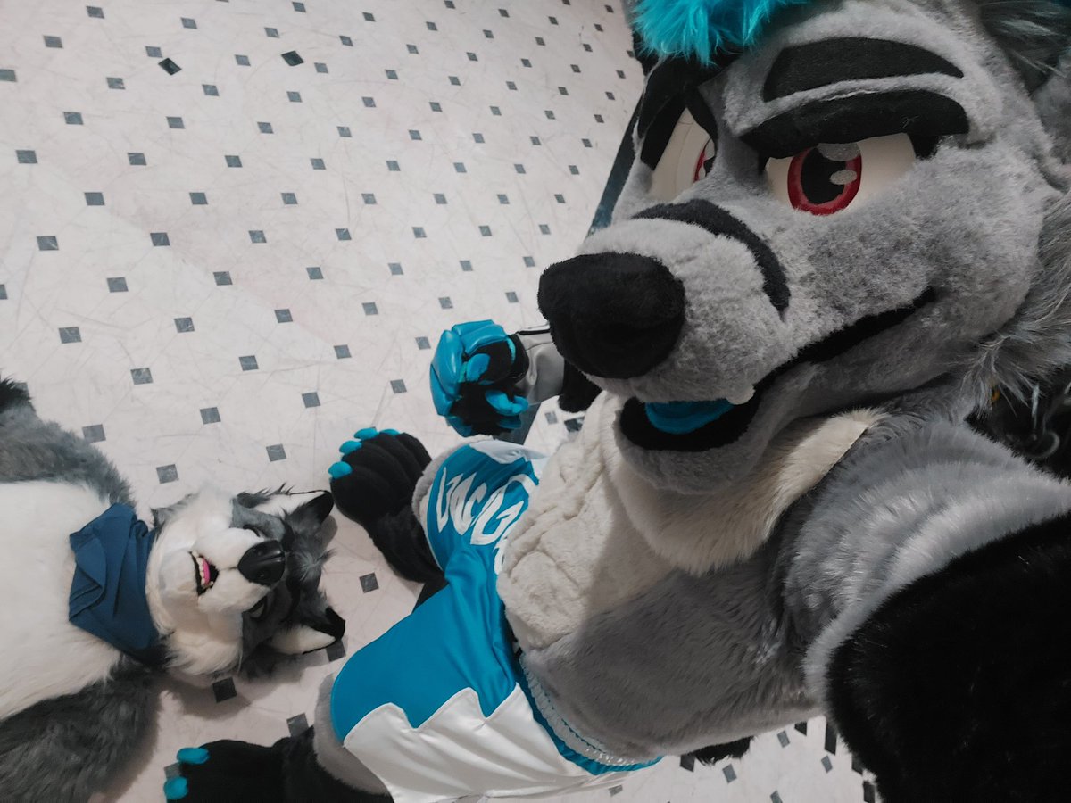 He'll sleep it off. 🥊💫💤

💪: <a href="/Cobaltthewuff/">A Public Embarrassment @MFF 2024! 🐺</a>