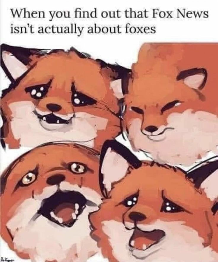 JimRanger96's tweet photo. I said I had to watch fox news, all the foxes get excited until they realized it was normal news. Then they became the meme https://t.co/2NCykfQ1l1