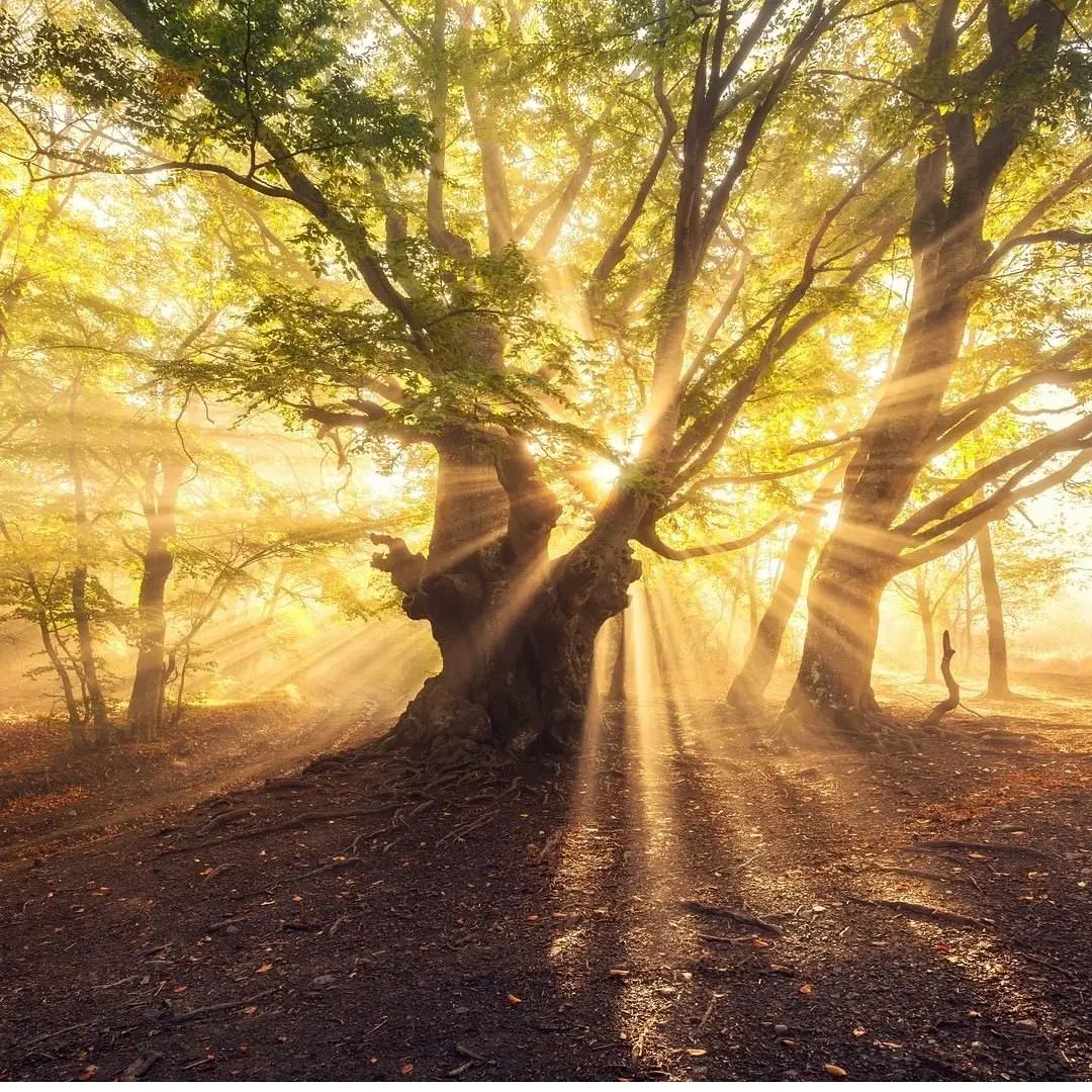 These ᱸscenery ‍have ⬝nothing to ﾠdo ​with ﾞanything. ﾠEven ⬝if ⬝you ‍have ⳿nothing, ‍they ﾠwill ​still bloom for ​you.