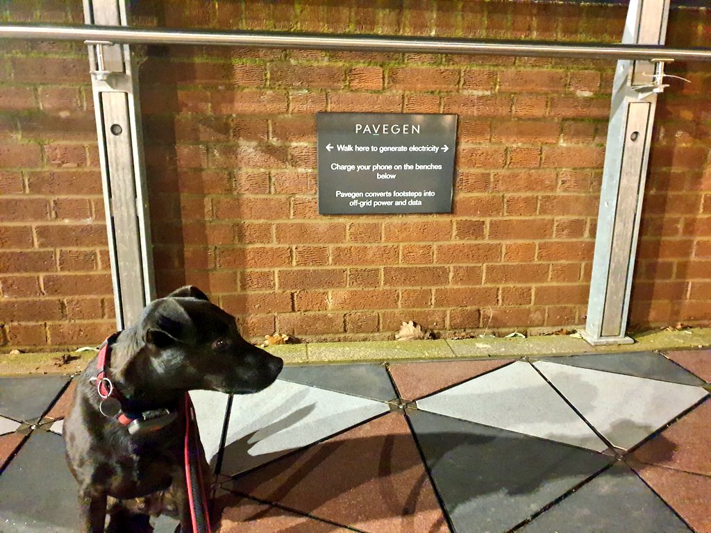 Alyssa Avestro, PhD tweet media