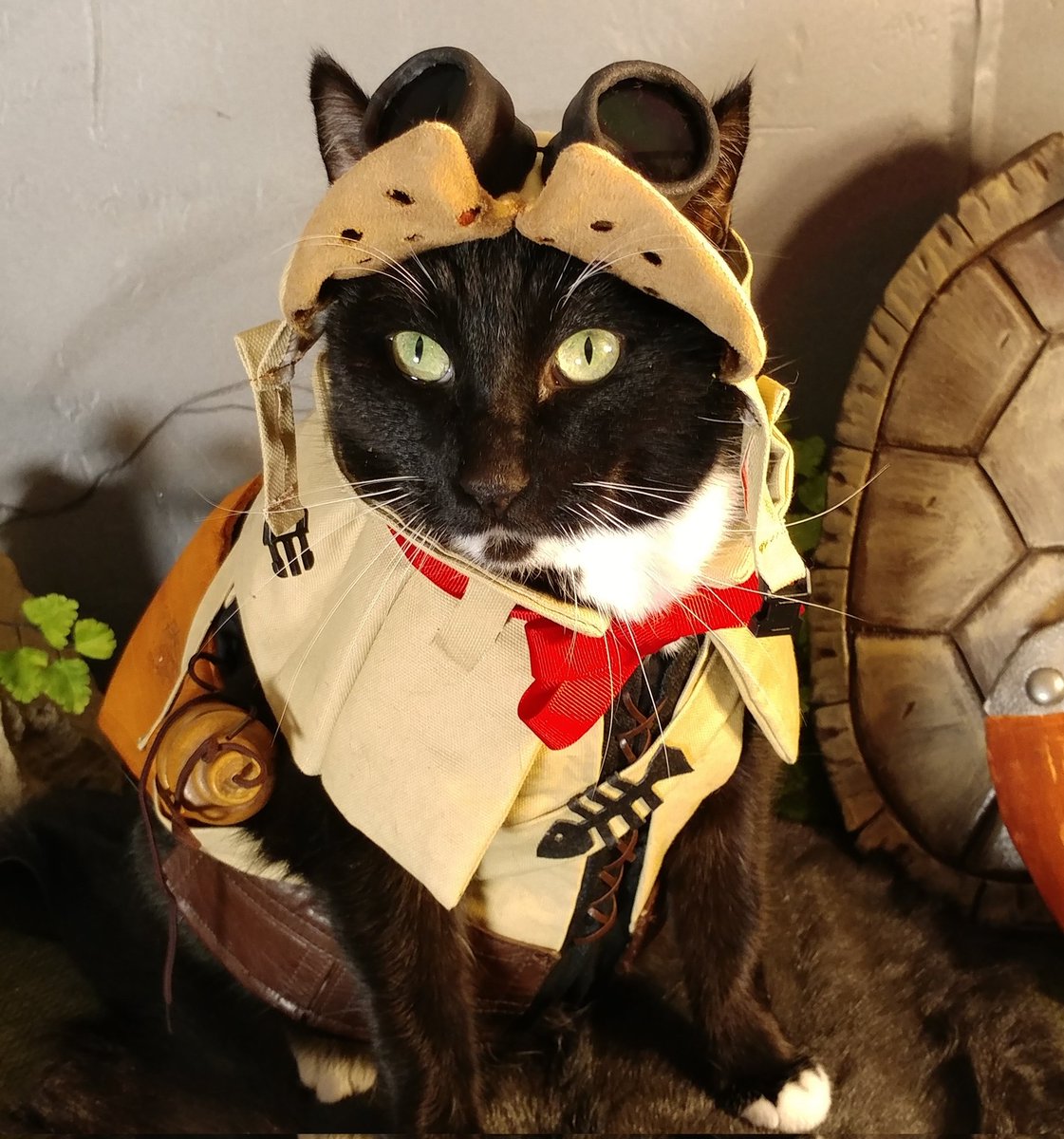 Everyone should have a Palico. #MonsterHunter