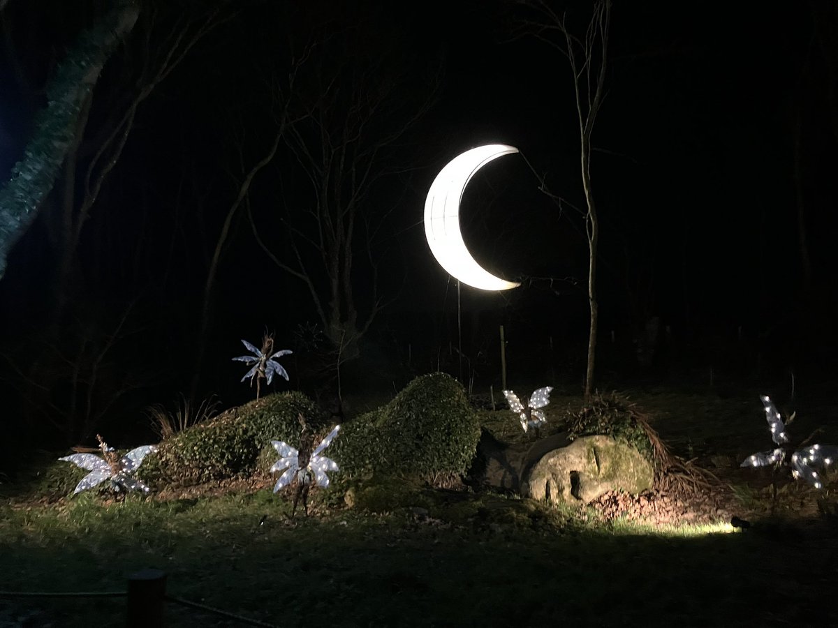 mrsmortuk's tweet photo. Lost Gardens of Heligan night garden. Just stunning. ❤️ https://t.co/RjCdUnBTGg