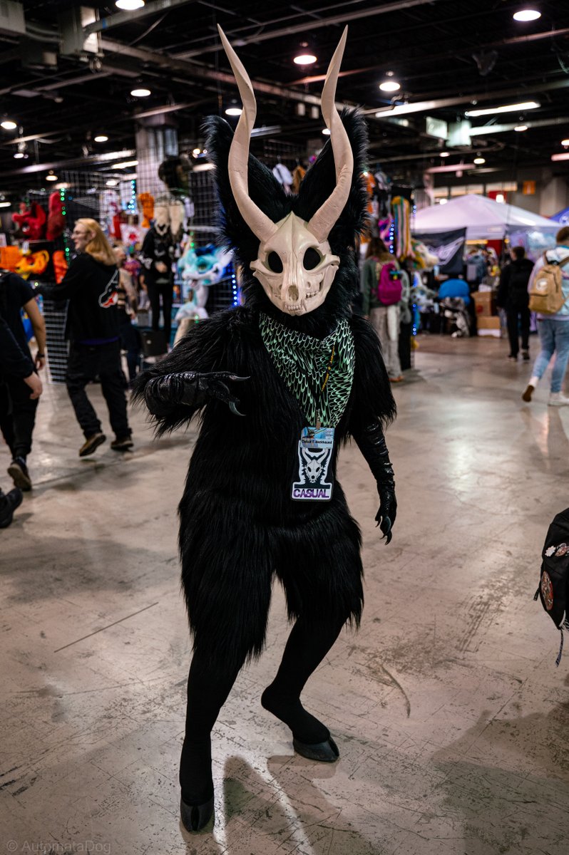 AutomataDog tweet media