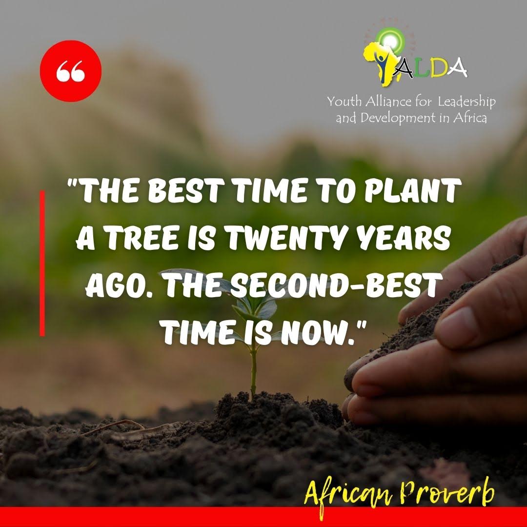 yaldafrica's tweet photo. #MotivationalMondays
Embrace the power of NOW. The best time to plant a tree may have been 20 years ago, but the second-best time is RIGHT NOW. Seize this moment with confidence and determination. Don't wait; start now and let your efforts bear fruit.
#LivingTheRoots #BeInspired https://t.co/ND9fODEhwV