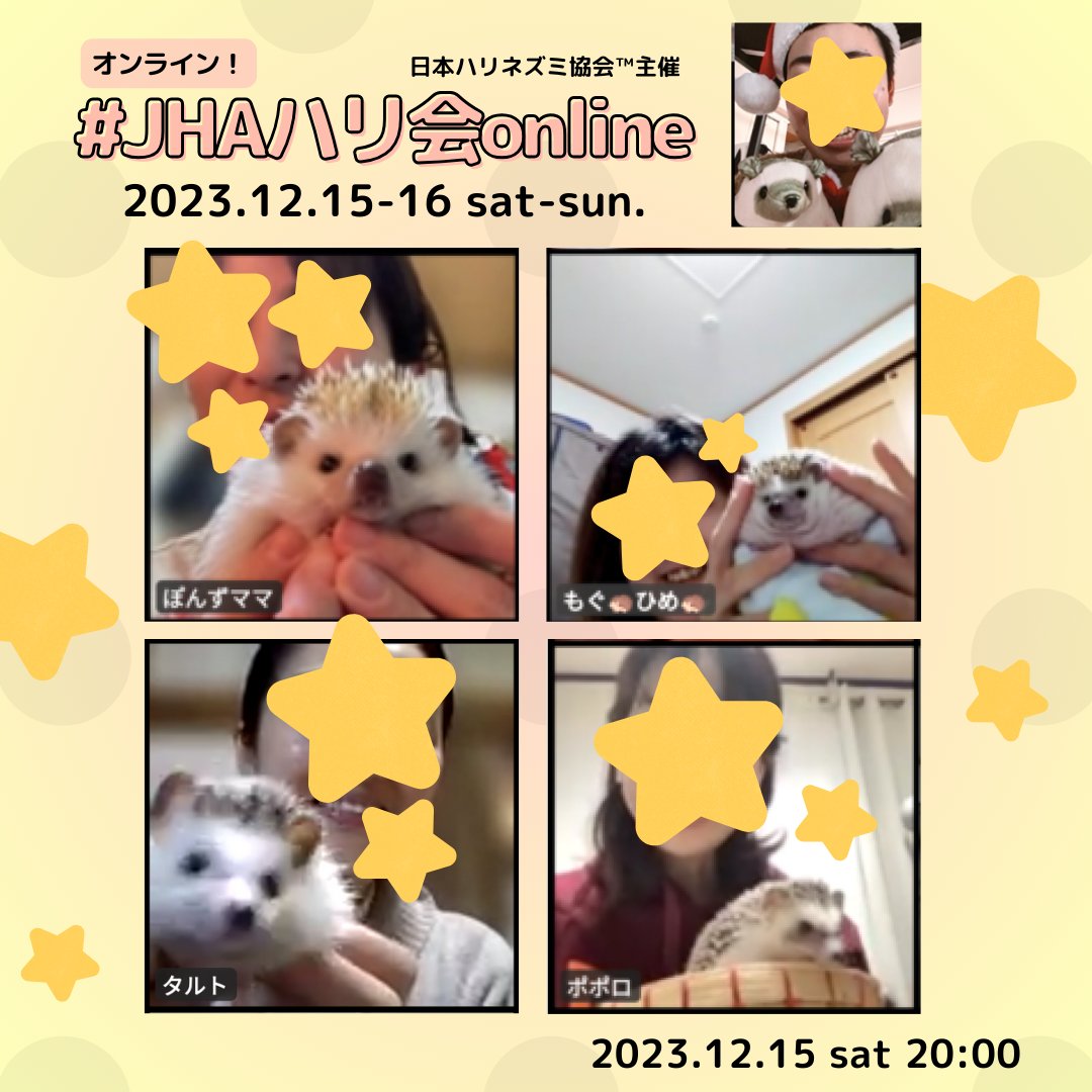 p_hedgehog_jp tweet picture