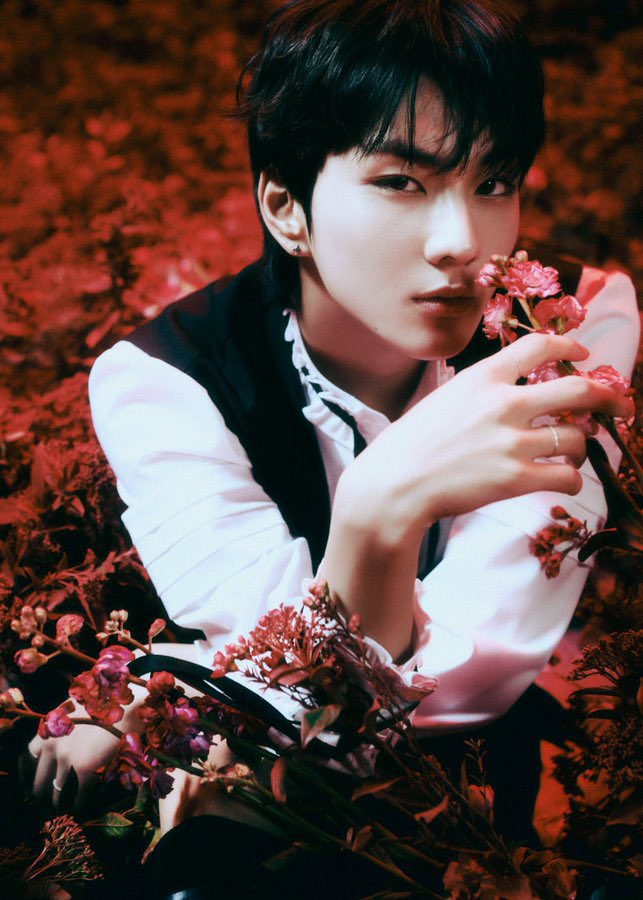 𝔈N═𝕋IT𝚈 ✩ tweet media