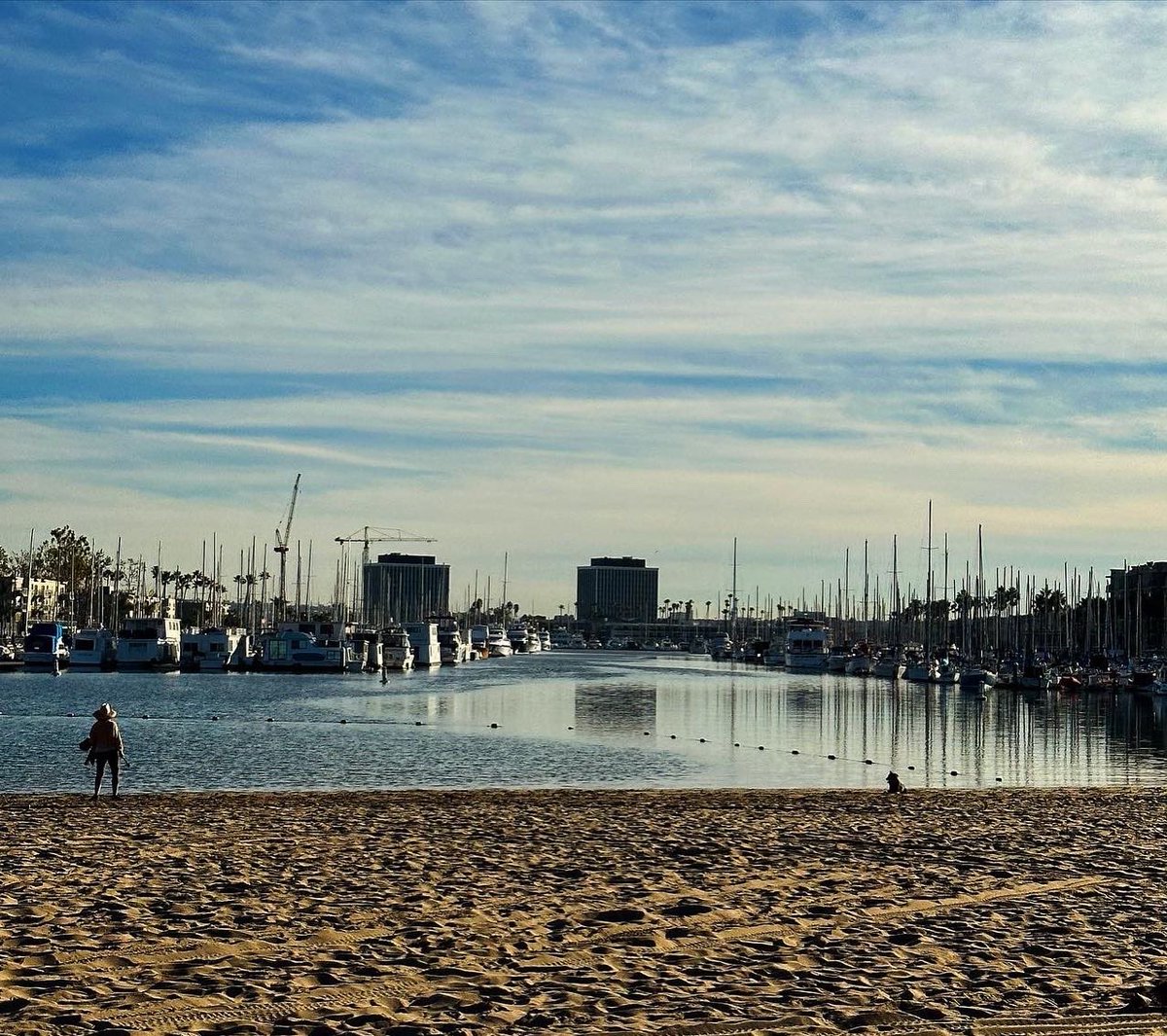 swatishetty's tweet image. Saturday Morning Group Run 🏃🏽‍♀️ 
#whyirun #santamonica #venice #marinadelrey #santamonicapier #laleggers @laleggers #20miles #running #runnersinla #losangeles