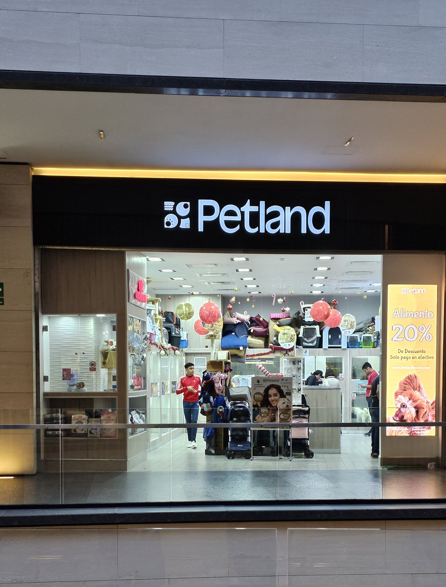 lauriutz's tweet photo. Odio este lugar. Venden animales. No compren nada aquí. ¿Hay algo que se pueda hacer? Me enoja ver a los animales encerrados. #Petland https://t.co/afVbc6LCBn