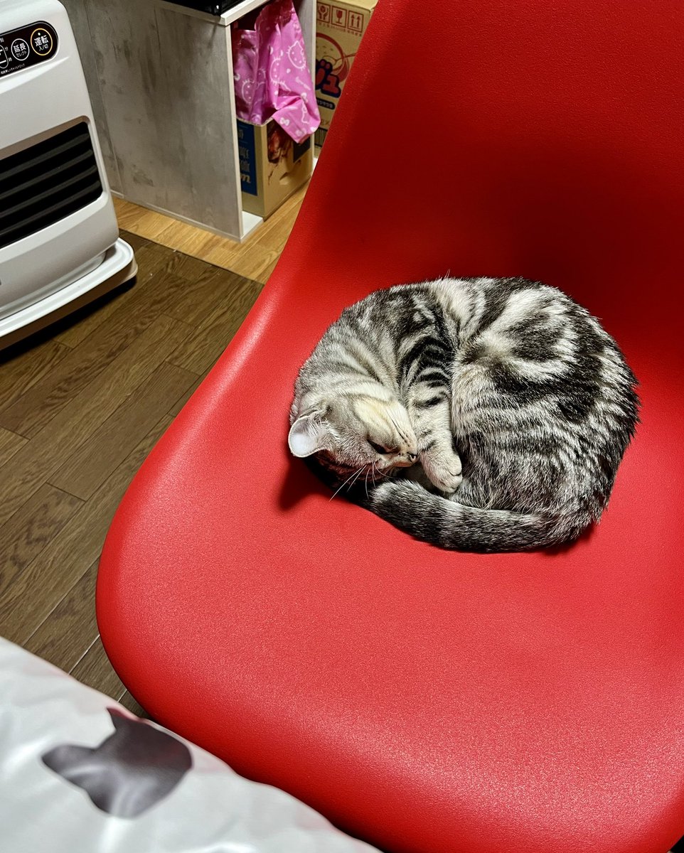 🎵息が…どうでもいいよな夜だけど〜♬

昨夜から冷えこみが非常〜にシイキビで、外に出ると息も真っ白⛄️❄️

今朝は先週からの預かり物をお届けに三郷市へ、その後は柏市行きです🚐💦

近ごろ暖を取るのが上手くなってきた🐱