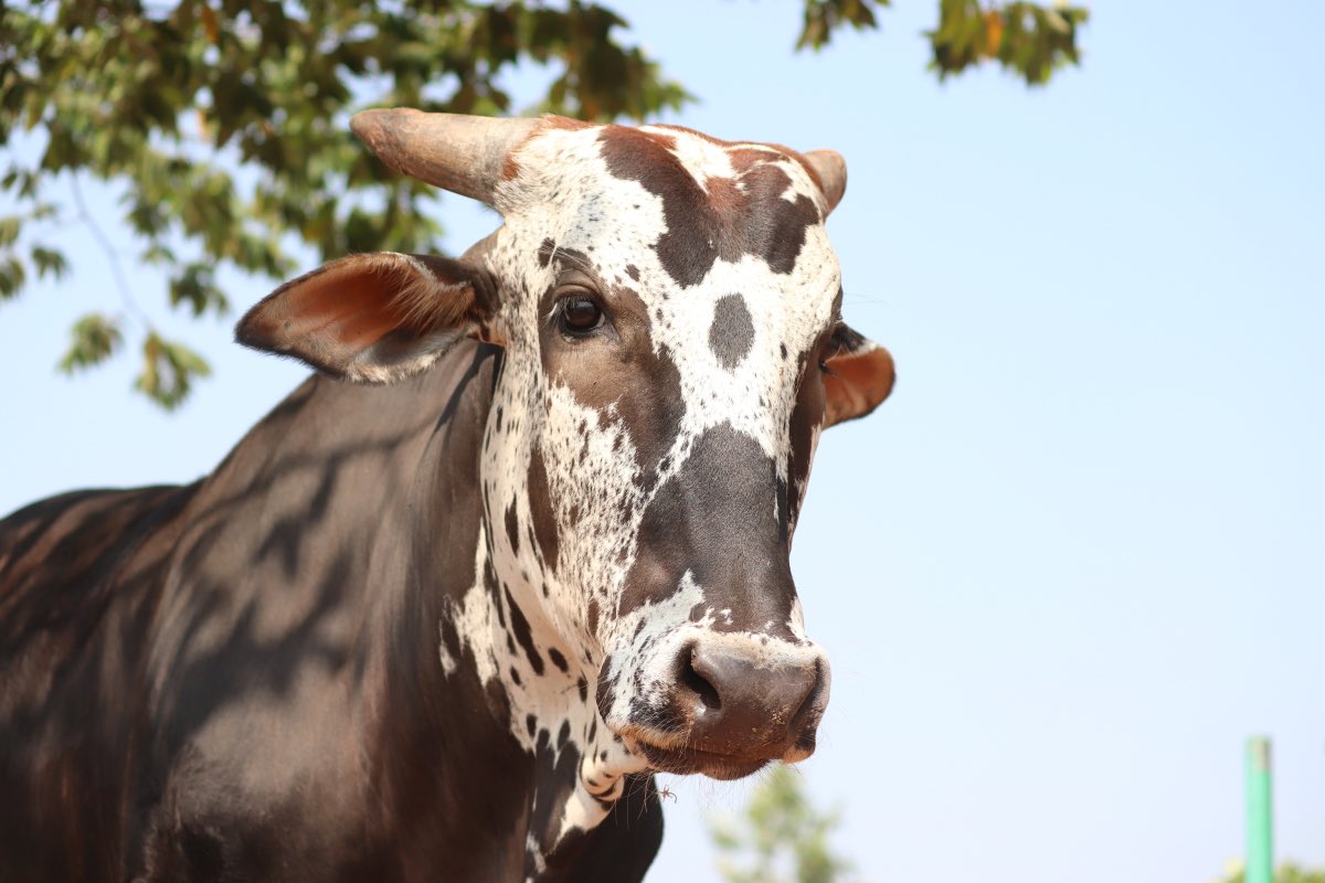 A beautiful person who just wants to live unmolested.