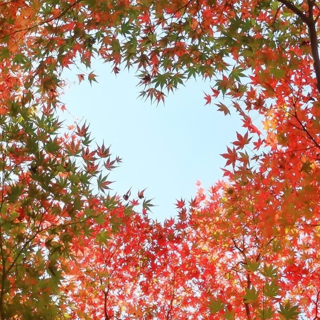 Ten ﾞmiles  after ᱸthe ᠍spring ﾞbreeze, ​all the ⬝wheat ⳿is green