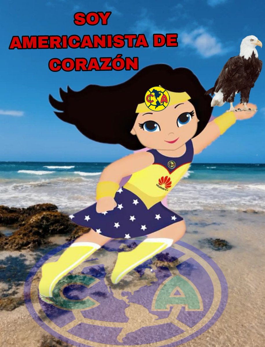 Estrellita tweet media