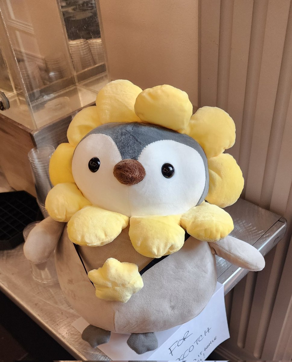 dm_251's tweet image. Placing top 31st on #BSS Pro Tour and securing invite to Worlds in January is a goal I've wanted to achieve this year. Looking forward to Worlds in January!!!