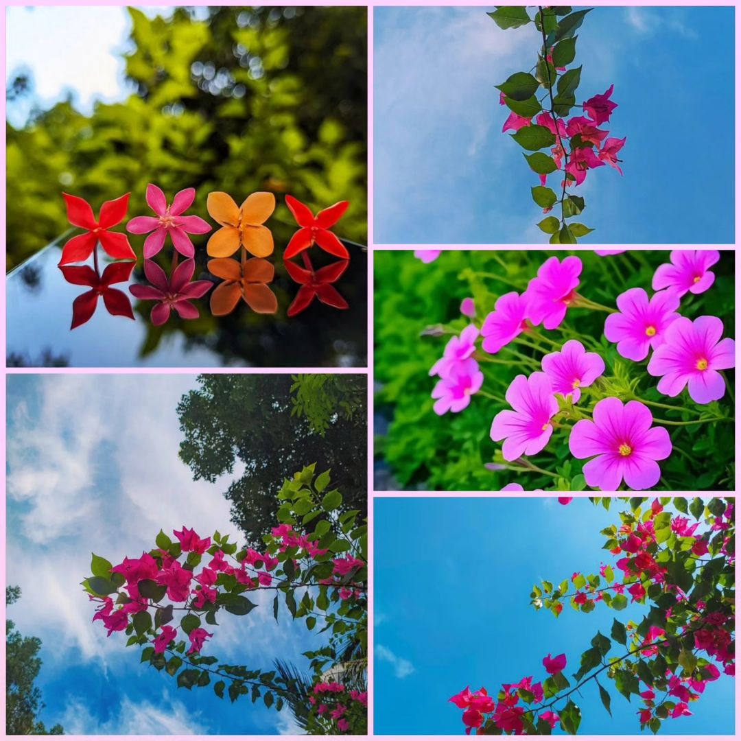Accompany ‍you  through ﾞthe four seasons ᱸand see ﾠthe ​most ﾞbeautiful ⬝scenery