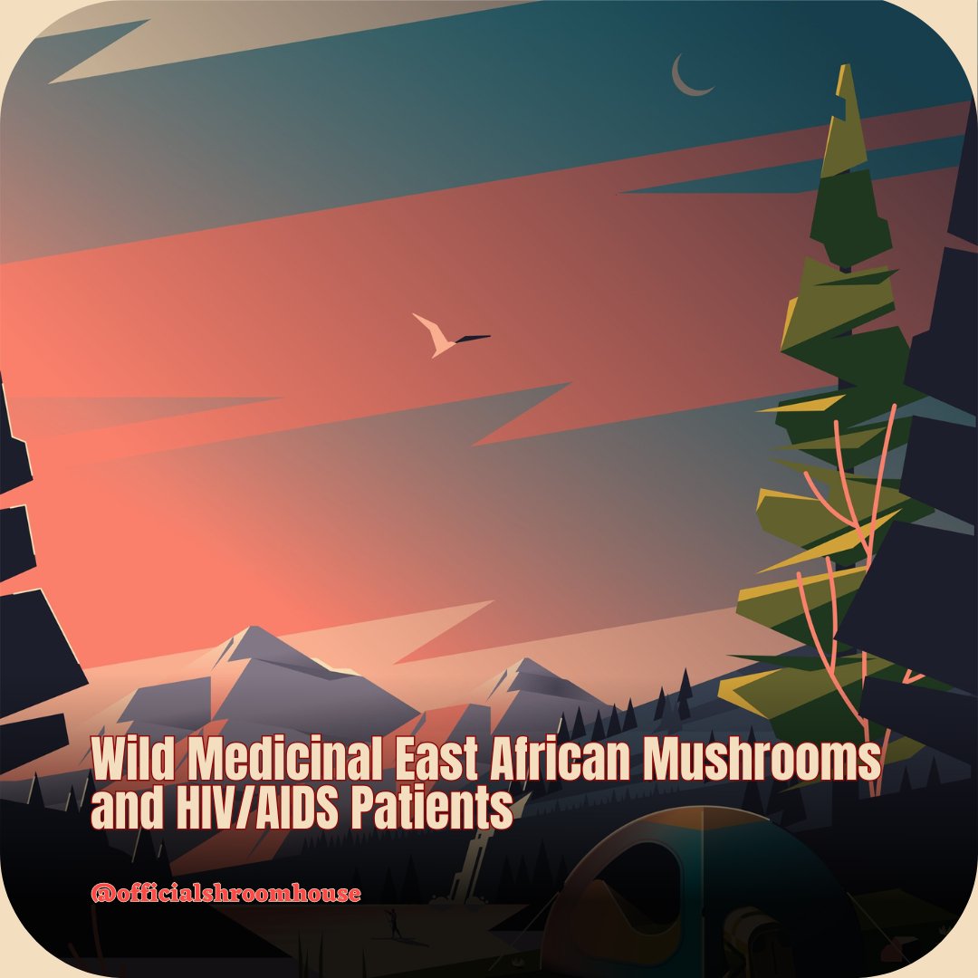 Promising research on East African mushrooms, particularly turkey tail, unveils potential in treating Kaposi's sarcoma and benefiting HIV/AIDS patients. #MushroomResearch #HealthDiscoveries