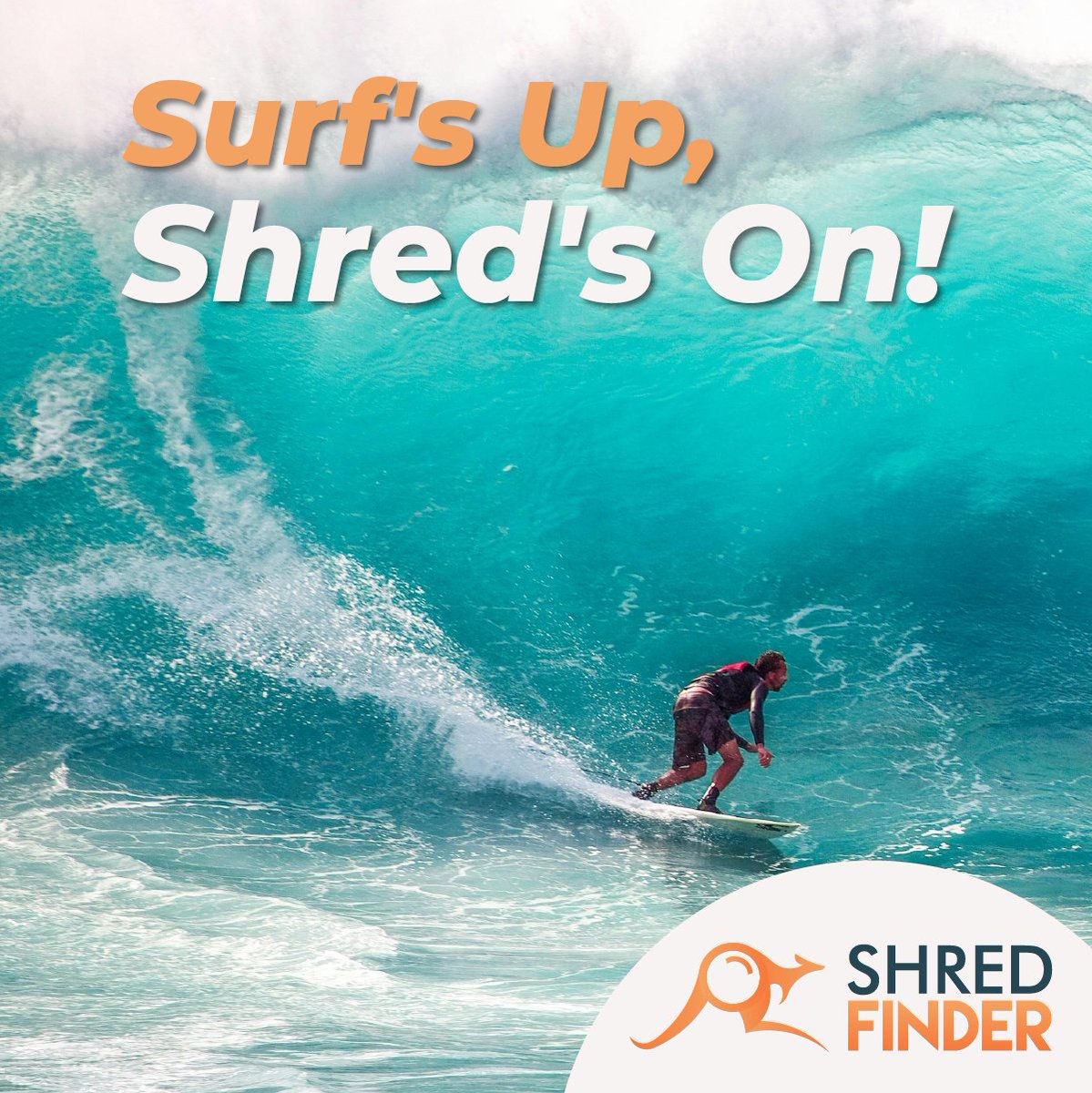 🏄‍♂️📜 'Surf's Up, Shred's On! 🏄‍♂️✨ Catch the wave of secure document destruction with Shred Finder. Enjoy summer vibes without the paperwork stress. 🌺🔒 #summerwaves #ShreddingSeason