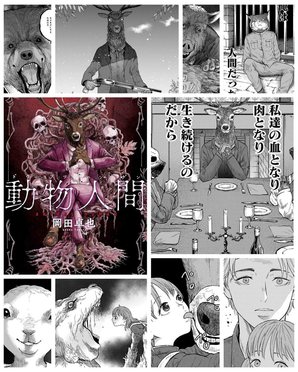 人間と動物 動物人間 - Search / X