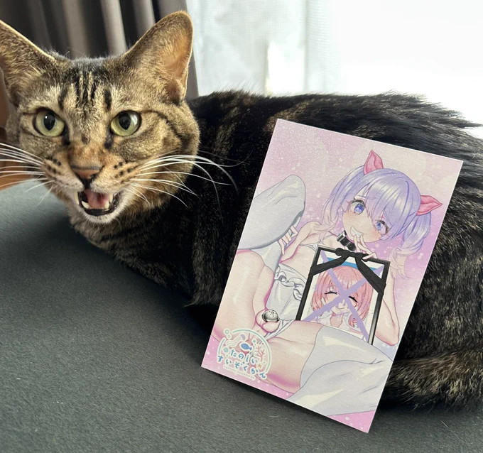 冬コミ会場特典のポストカードです。両面印刷で裏はモコとヒロシちゃんです。猫も出来が良くて鳴いています 
