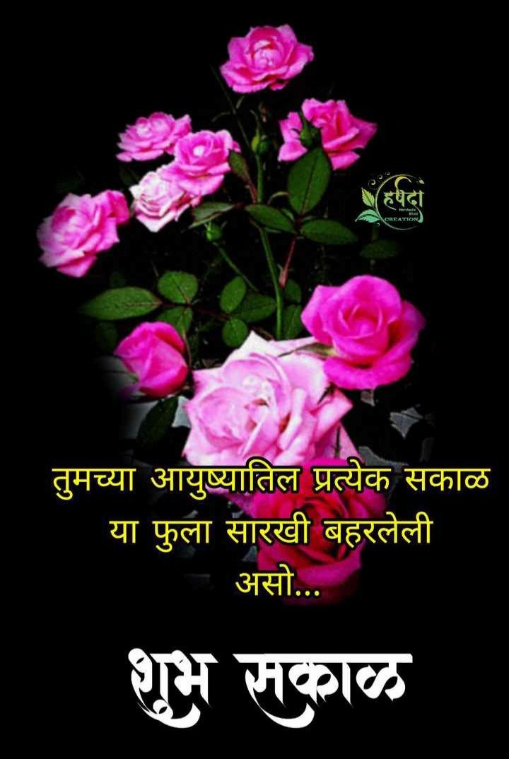 archana_datar's tweet photo. @GauravP10192709 @AvdheshanandG @AcharyaSabha @HariharAshram @mlkhattar @pushkardhami @ParmatmanandJi @yogrishiramdev @Ach_Balkrishna @davidfrawleyved @rajnathsingh @EkatmaDham शुभ सकाळ शुभ सोमवार https://t.co/Z8bJDlrUoF