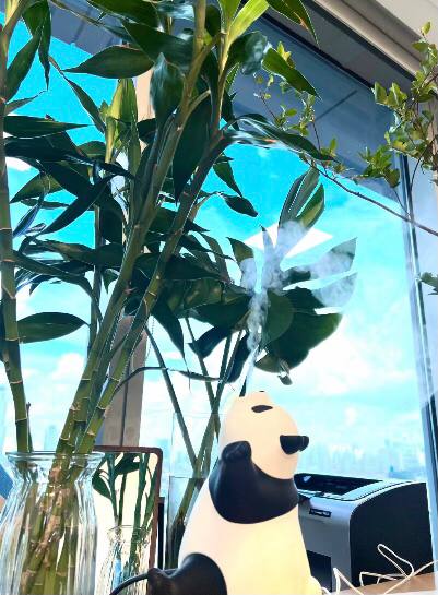 Aspiring Alpaca tweet media