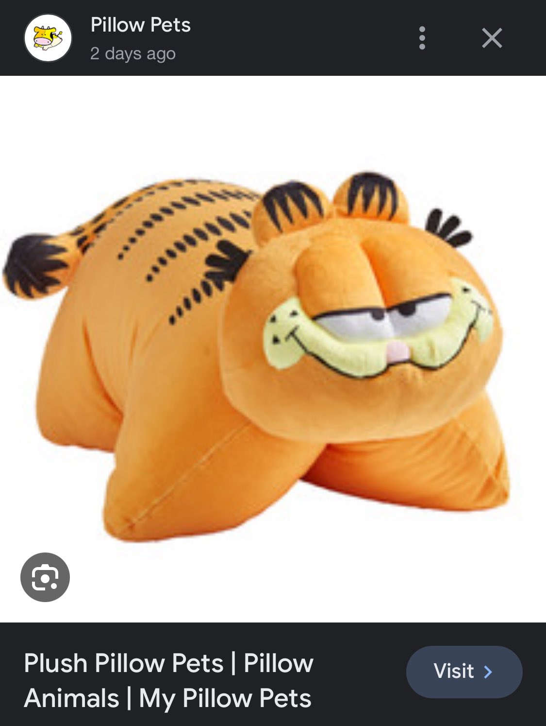 Quinton Reviews - #1 GARFIELD FAN 🎬 on X: Garfield News: It seems that  Pillow Pets is about to announce a Garfield plush based on a fan design.  Google image results briefly