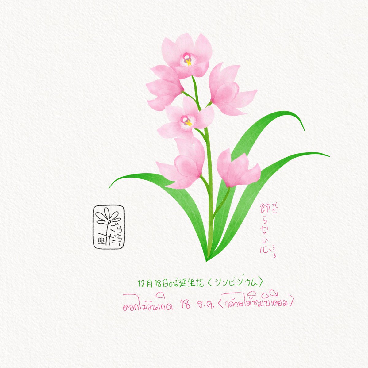 ดอกไม้วันเกิด 18 ธันวาคม “กล้วยไม้ซิมบิเดียม” ภาษาญี่ปุ่นเรียกว่า シンビジウム(ชิมบิจิอุมุ) ภาษาดอกไม้คือ หัวใจที่บริสุทธิ์ 12月18日の誕生花　“シンビジウム” 花言葉　“飾(かざ)らない心(こころ)” December 18th of birthday flower “Boat orchids” Flower meanings “Pure heart”