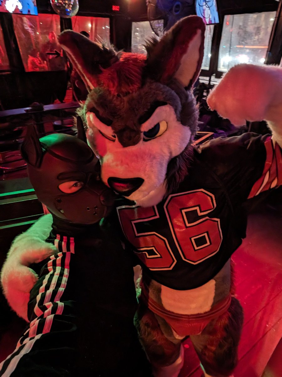 Tungsten Cube Kitty (@EF) tweet media