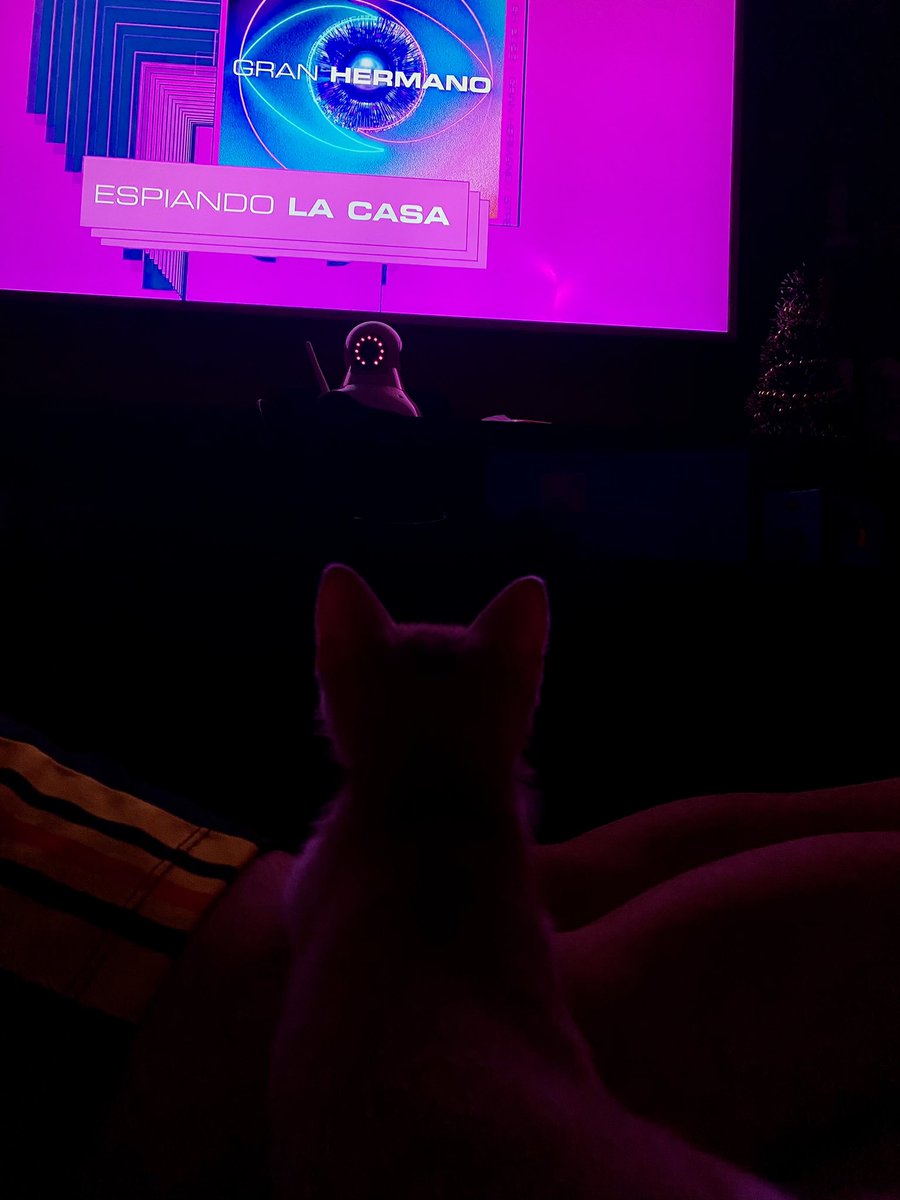 camiarce_'s tweet photo. Esperando a @Poggi ❤️ https://t.co/5YcEExpfUY