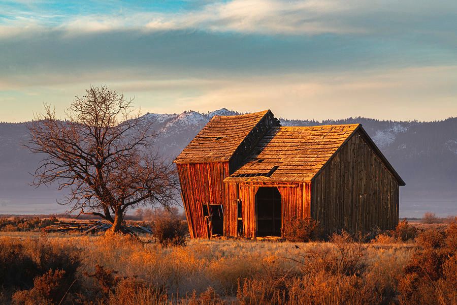 My favorite old barn in the morning golden hour Prints available: buff.ly/3GO0Bj2 #buyart #ayearforart #ruralamerica