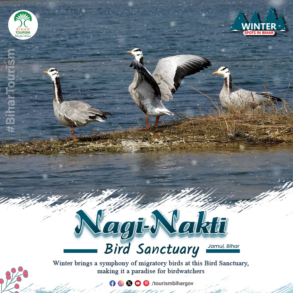 Nestled in #Jamui, the Nagi-Nakti Bird Sanctuary is an enchanting site. In #winter, it transforms into a paradise for #birdlovers, hosting numerous #migratory birds. Explore this hidden gem in #Bihar.
.
.
.
.
#NagiNaktiBirdSanctuary #WinterDestinations #nature #Birds…