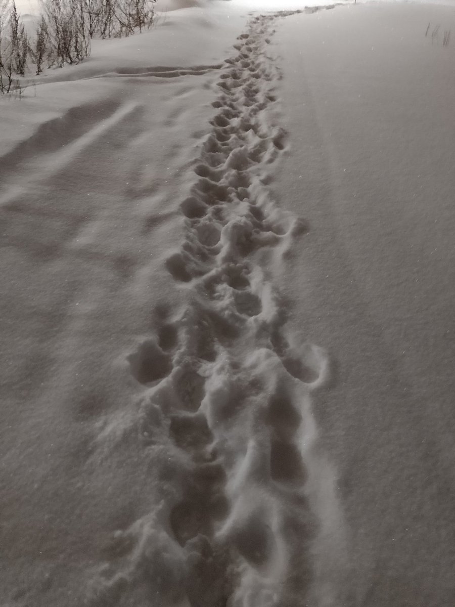 Huomenta. Kahvin jälkeen sopii orientoitua vuoden viimeiseen työviikkoon. Mukavasti aloitamme <a href="/HAMK_AOKK/">HAMK Ammatillinen opettajakorkeakoulu</a>-koulutussuunnittelulla. Iltapäivä vierähtää yhteistyökuvioissa  <a href="/satuagren/">Satu Ågren</a> @VMLamppu vieraana @amke_ry:ssä. Mainiota maanantaita.