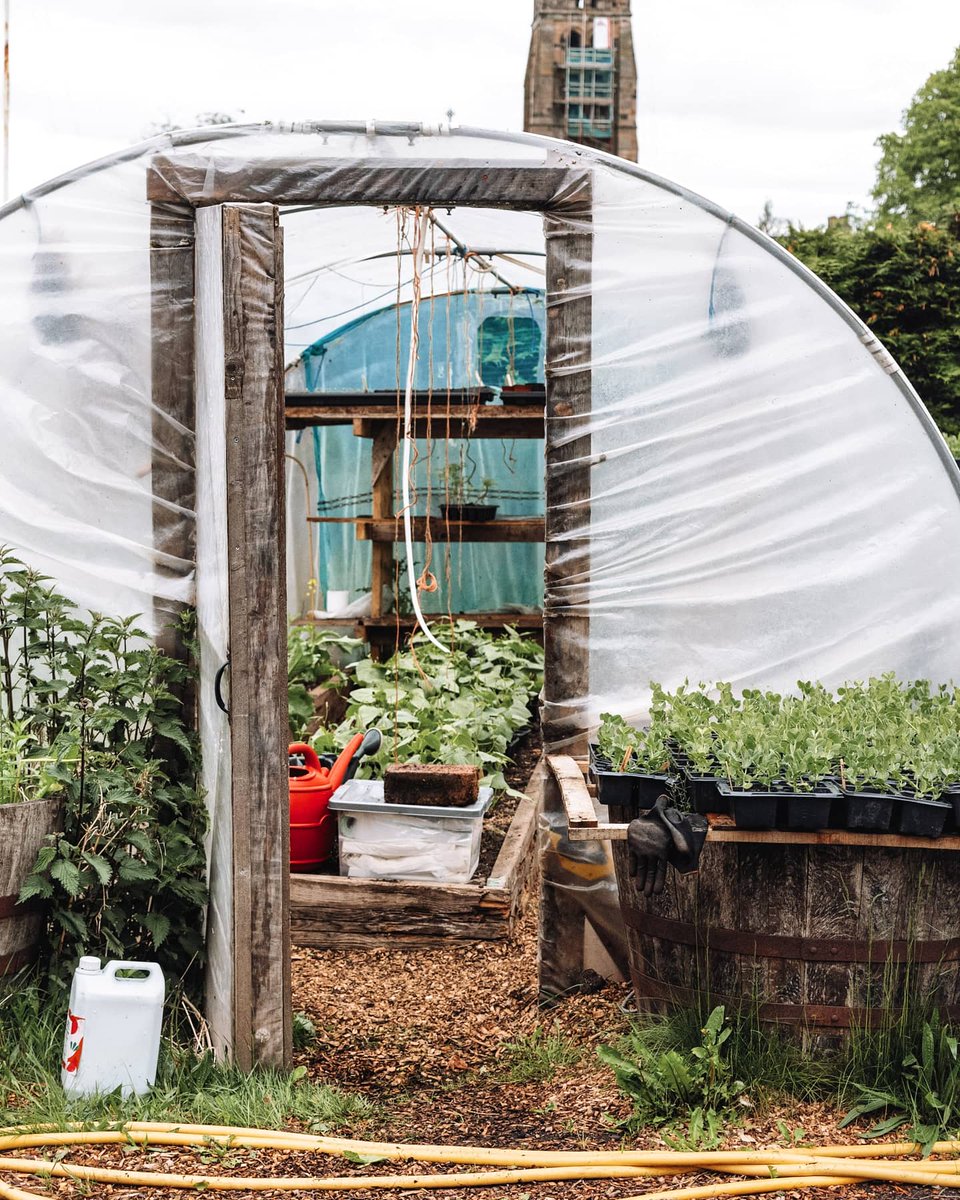 #throwback to when @Glasgowfoodgeek visited The Urban Croft in Queens Park - previously a disused tennis court now run by @LocavoreCIC in partnership with community-led organisation South Seeds to produce food locally 🌽⁣ ⁣ 📸 @Glasgowfoodgeek ⁣ ⁣ #MyLandScotland 🏴󠁧󠁢󠁳󠁣󠁴󠁿 ✨