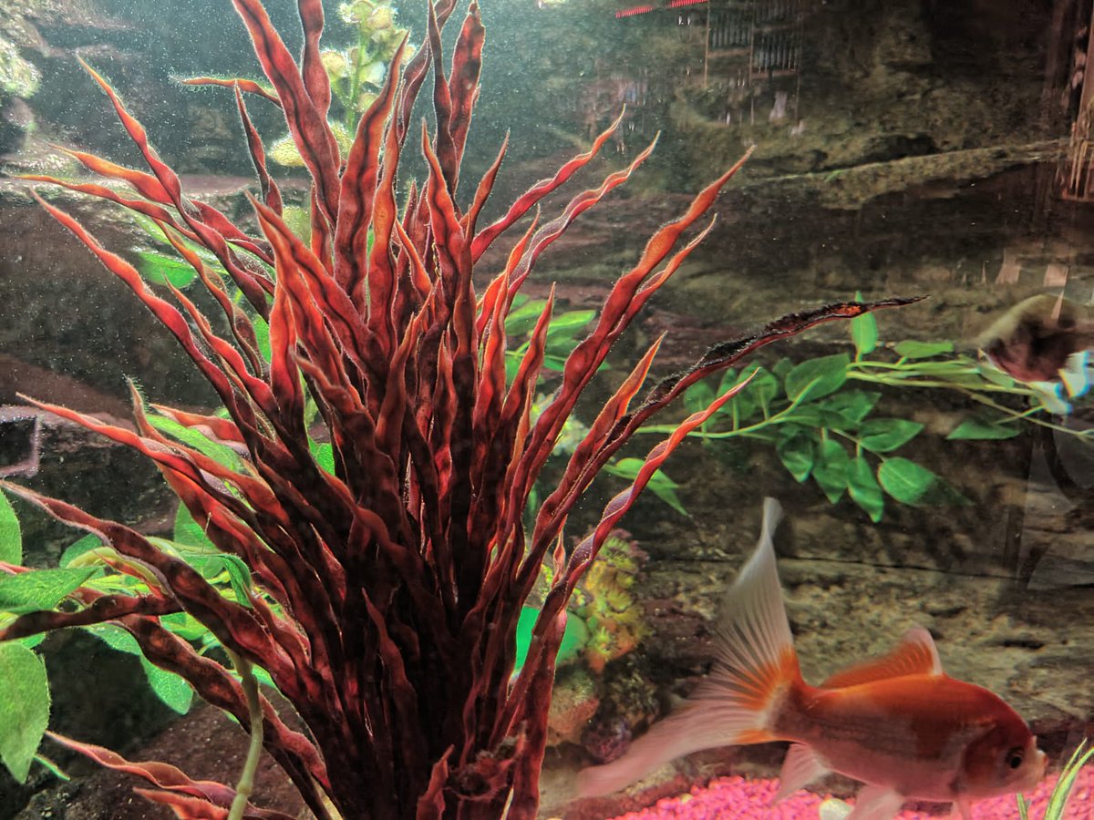 Marsel (@marsel1047008) on Twitter photo 