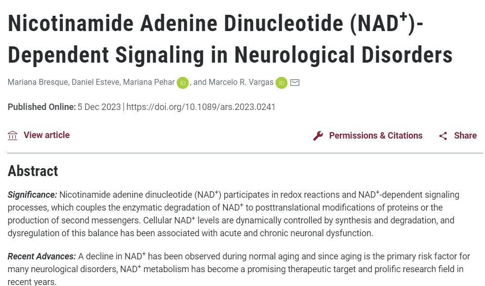 Recent advances of targeting nicotinamide