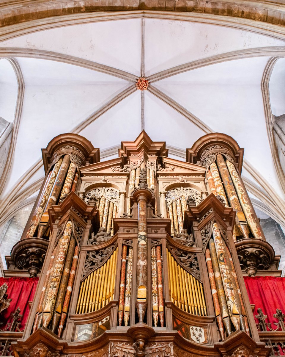 We are pleased to be able to release the specification of our refurbished organ with @nicholsonorgans. We are excited for this new chapter in the Cathedral’s musical journey and look forward to the grand debut of our new instrument @3choirs in 2026. nicholsonorgans.co.uk/pf/gloucesterc…