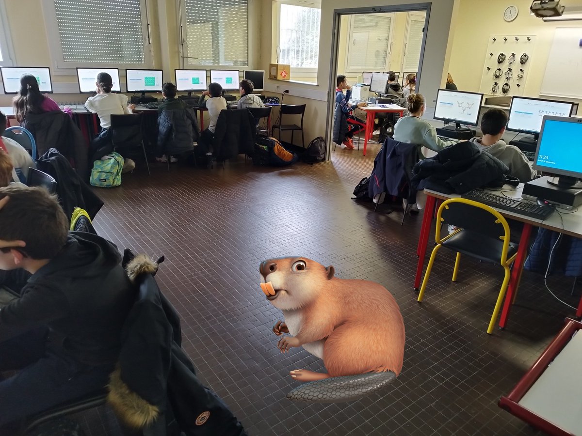 eliselocatelli's tweet image. #concoursCastor 🦫ou  le règne du clic en silence et du &quot;yes!&quot;. Chercher, essayer et trouver ! Bel exercice d&apos;essais erreurs et de persévérance ! ,👍 Merci @ConcoursCastor