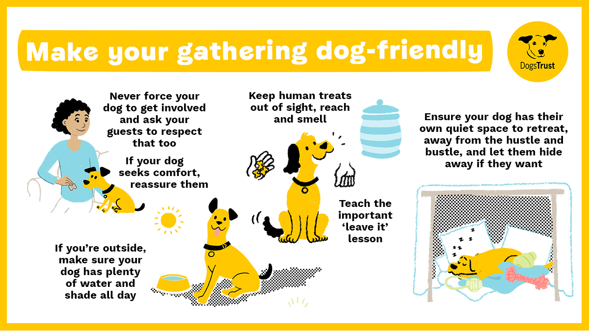 As we begin the final push towards Christmas take a moment to think about how our furry friends cope during party season. Thanks to @DT_Pawlitical and @DogsTrust we have a handy guide to pet friendly parties. Nadolig Llawen to all, including those with 4 paws 🎄