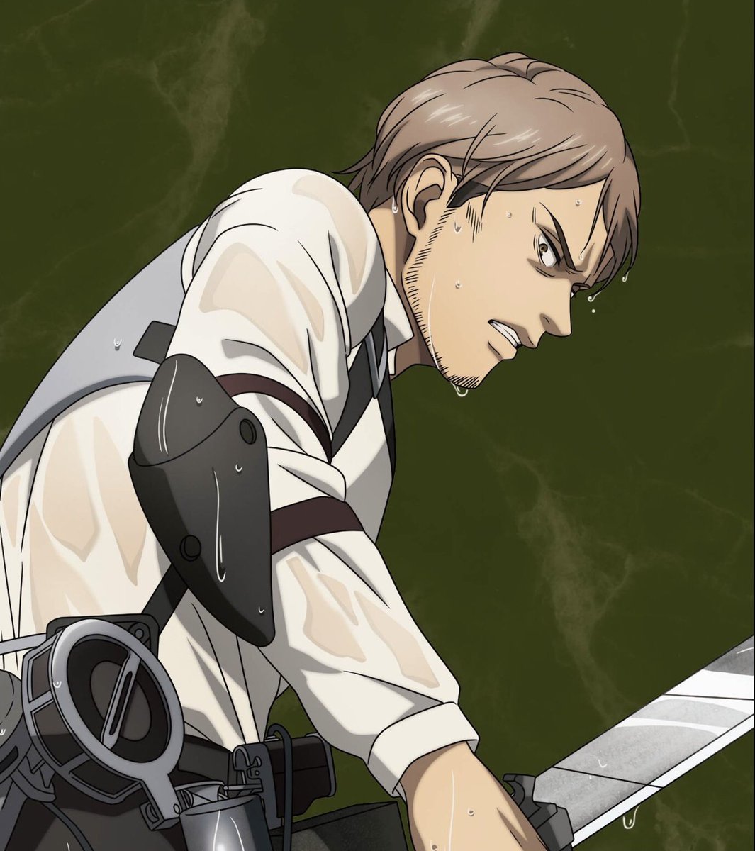 Attack on Titan (Anime), Attack on Titan Wiki