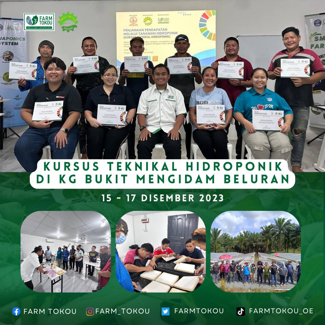 15 - 17 Disember 2023 (Jumaat - Ahad) - Farm Tokou tlh dijemput oleh pihak Emas Hijau Agroventure sbgai tenaga pengajar utk melatih 10 peserta dari komuniti Beluran berkenaan pertanian moden secara hidroponik. Kursus 3 hari ini bertempat di Beluran EcoYouth Centre (BEC), Beluran.