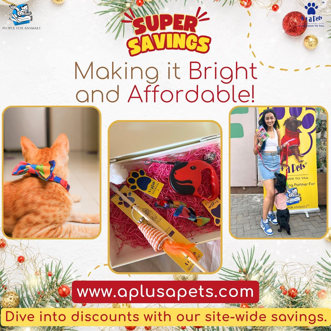 Jingle All The Way to Savings! 😍🎅
A+a Pets’ Christmas Goodie Box sale is here - pamper your pets with presents you’ll love 🐾🫶

Link to buy - aplusapets.com/collections/ch…

#aplusapets #pets #furryfriends #shop #shoponline #india #pets #christmasready #christmas #petgifts #goodiebox