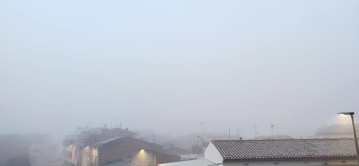😍S'ha fet esperar però ja la tenim aquí!!
Aquest any poca o molta i amb la sequera que tenim, esperem que es quedi uns dies 🤞
Gràcies BOIRA, per vindre i ser fidel com cada any  a la nostra terra 😍