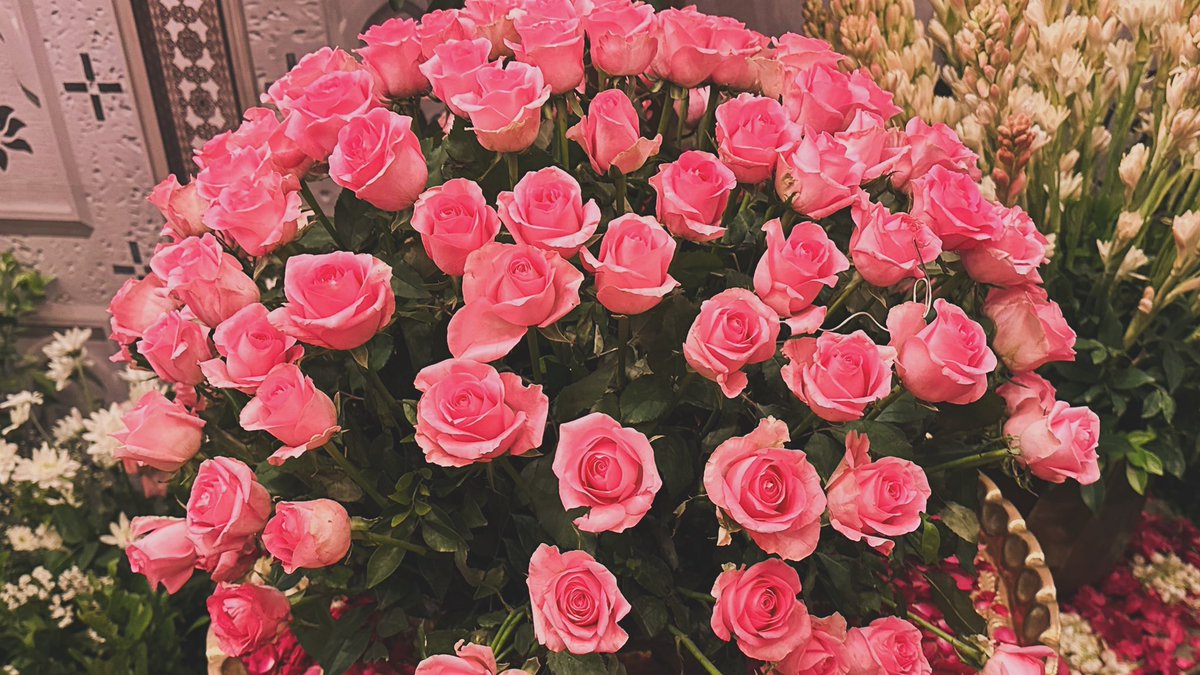 Monday mornings like these…🌹

#loveisallittakes #roses #pink #beautiful #moments #simplepleasures #tothisbeautifullife #livelightlove #backinthebay #mumbai #maharashtra #india #incredibleindia