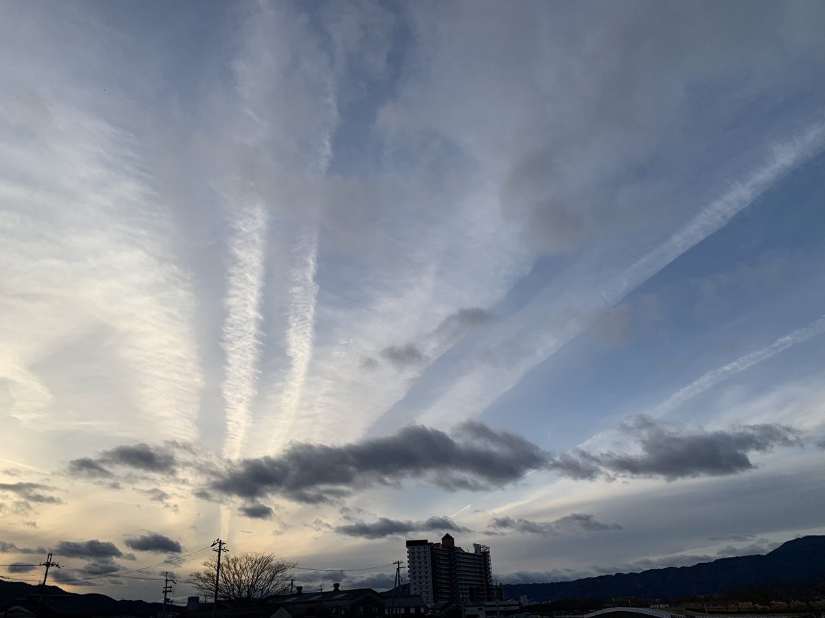 放射線状に飛行機雲( ･ᴗ･ ) みんなそれぞれの場所や国に飛び立って行ったのね( •ॢ◡-ॢ)