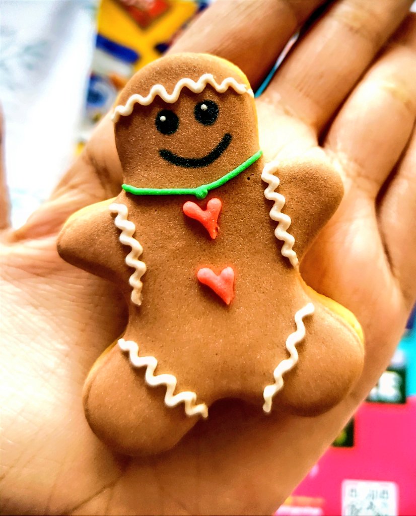 කොහොමද මෙයාව හිතකින් කන්නෙ. එයා හෙන කියුට් 😭😭❤️🍪

#GingerbreadMan 
#ChristmasCookies