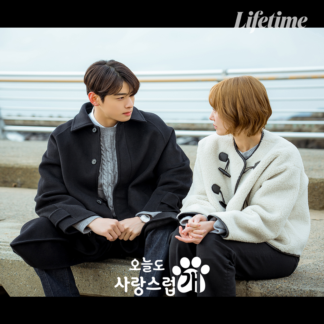 LifetimeKorea tweet picture